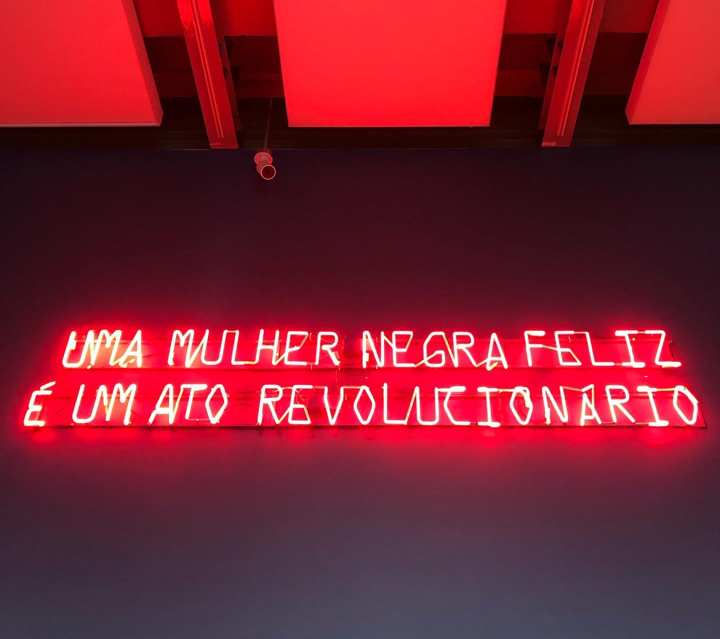 Expo Carolina Maria de Jesus: um Brasil para os brasileiros e a vulnerabilidade histórica da população negra