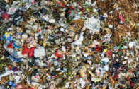 STF e órgãos ambientais discutem a extinção dos lixões no Brasil: “Supremo confundiu com aterro”